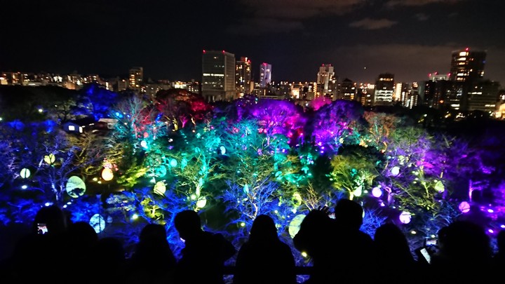 colorful night