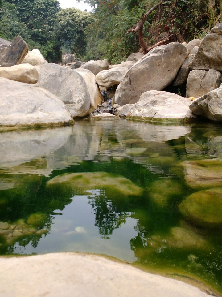stagnant water