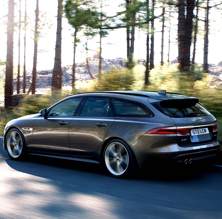 jaguar