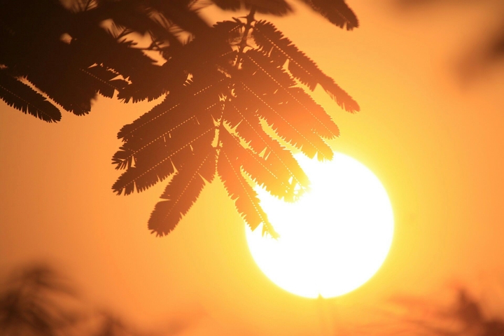 sun