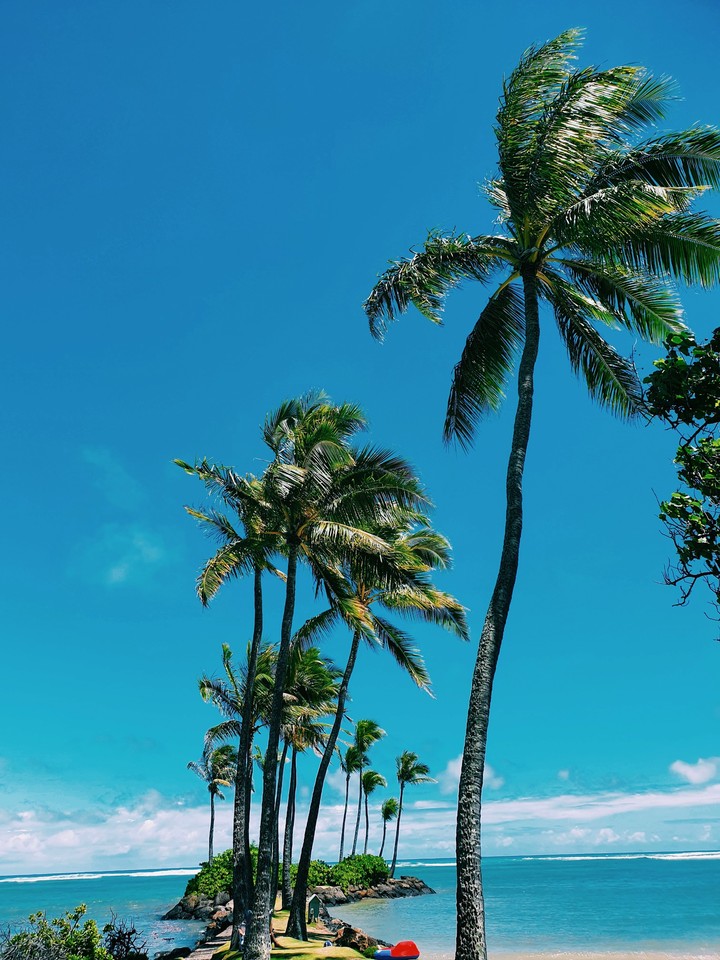Hawaii vacation