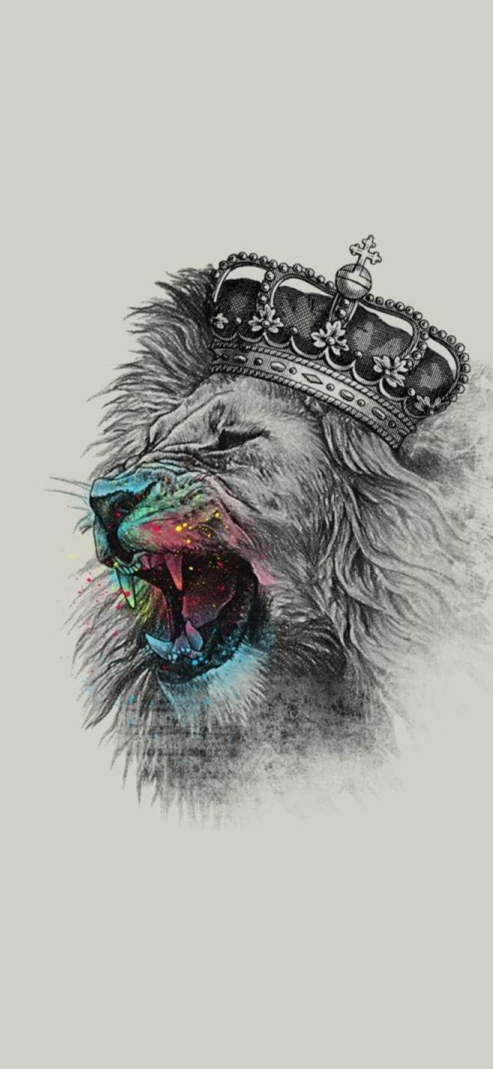 the ultimate king