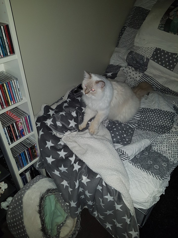My Simba