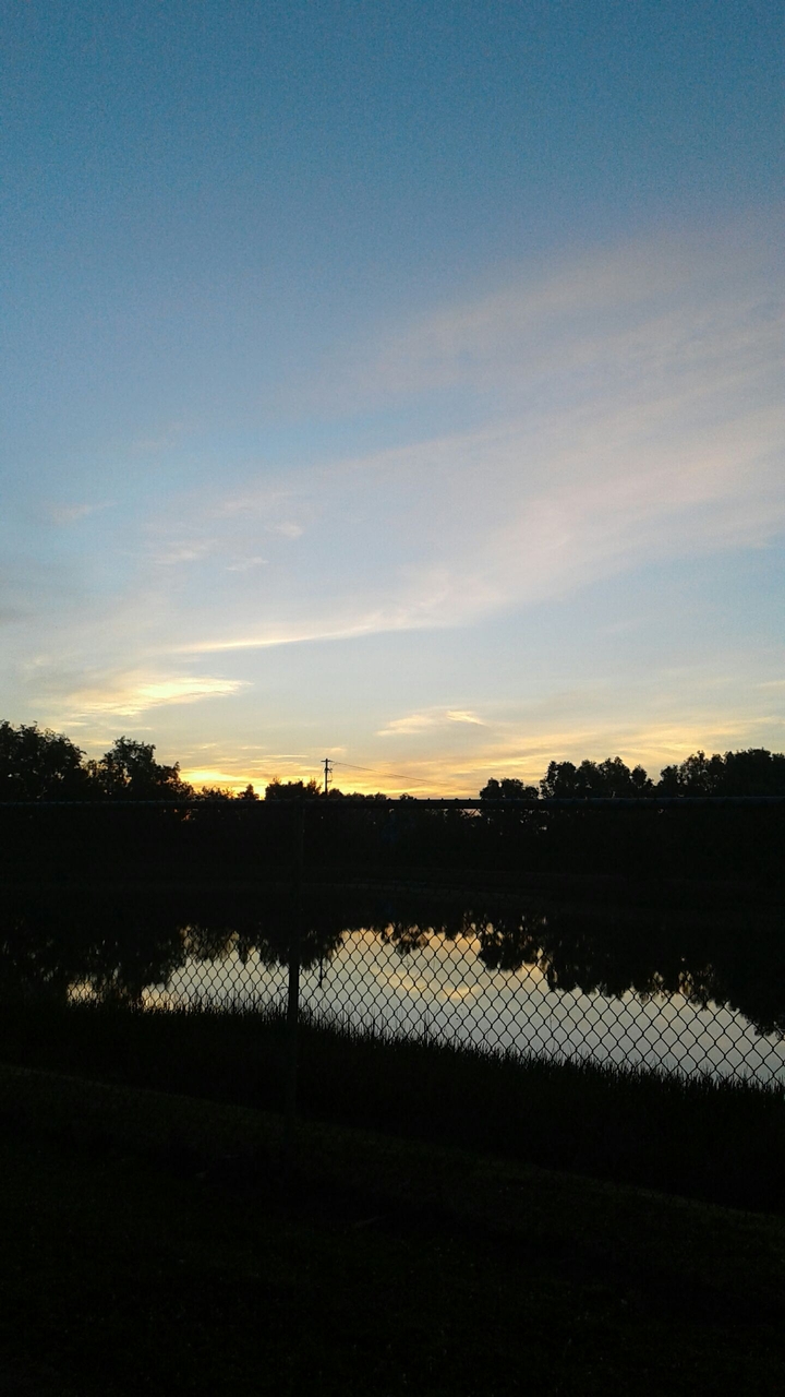 morning beauty.