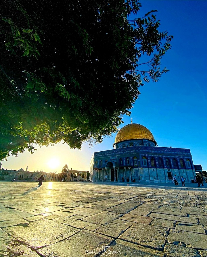 free palestine