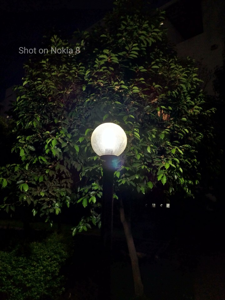night and the light