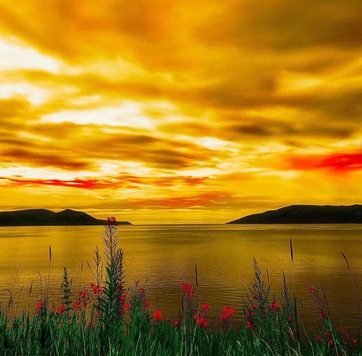 golden sunset ...
