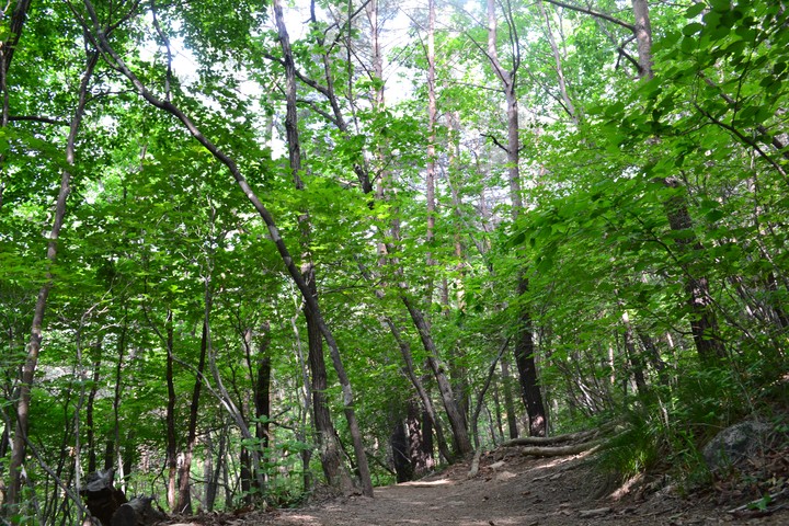 산이미지