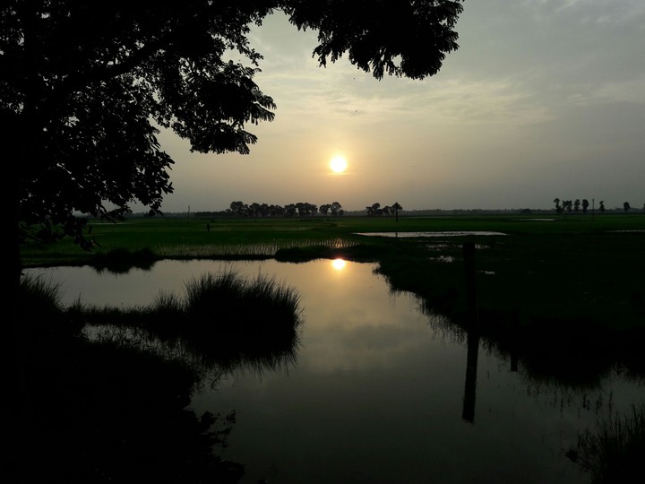Evening
