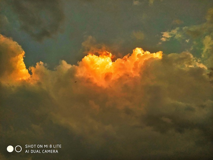 mobile photography
