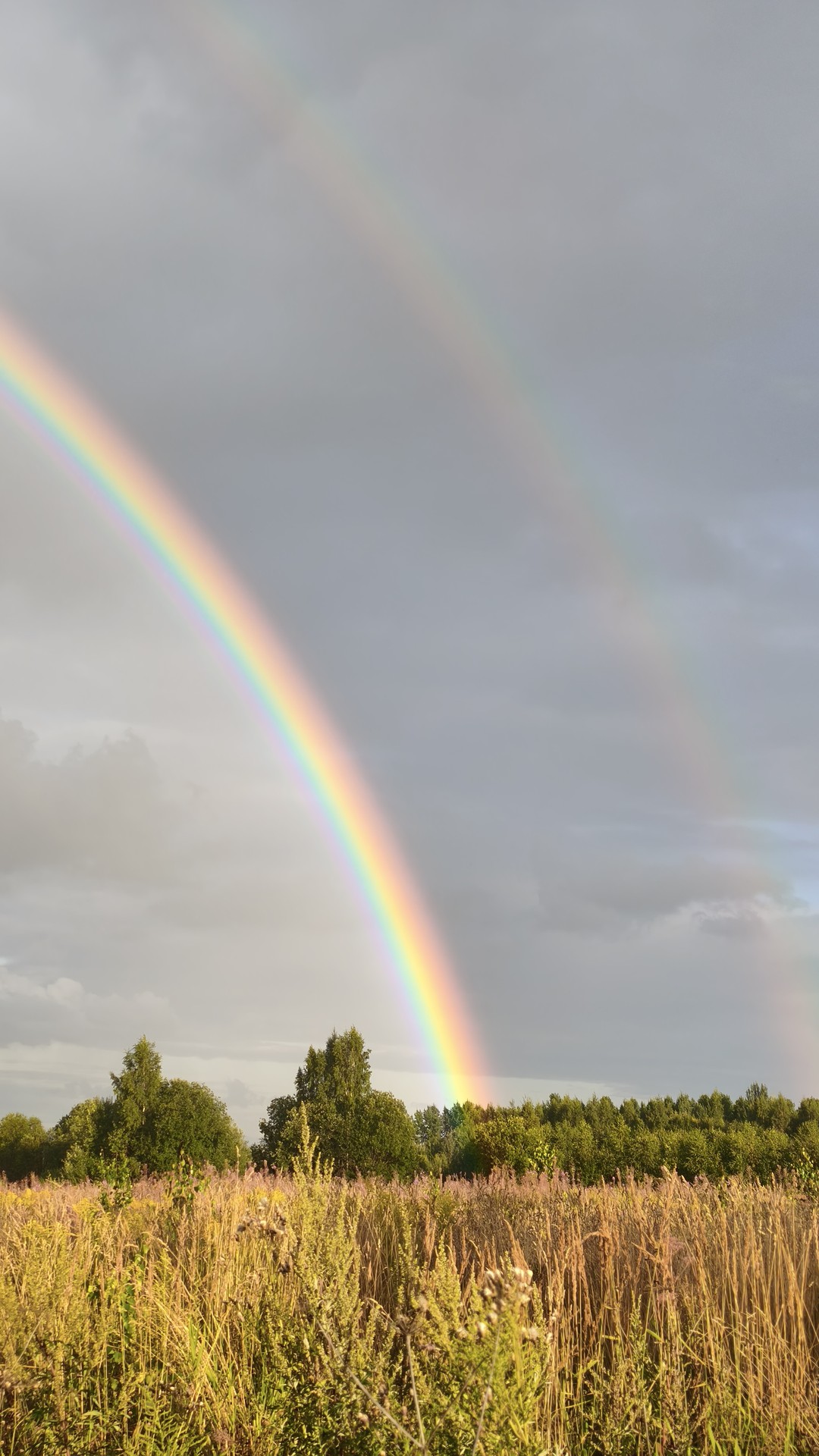 rainbow, prairie壁紙