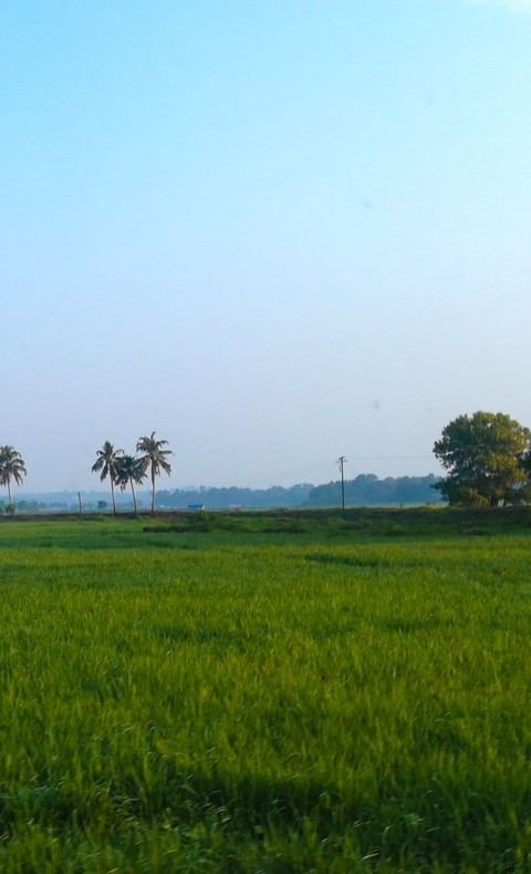 kerala