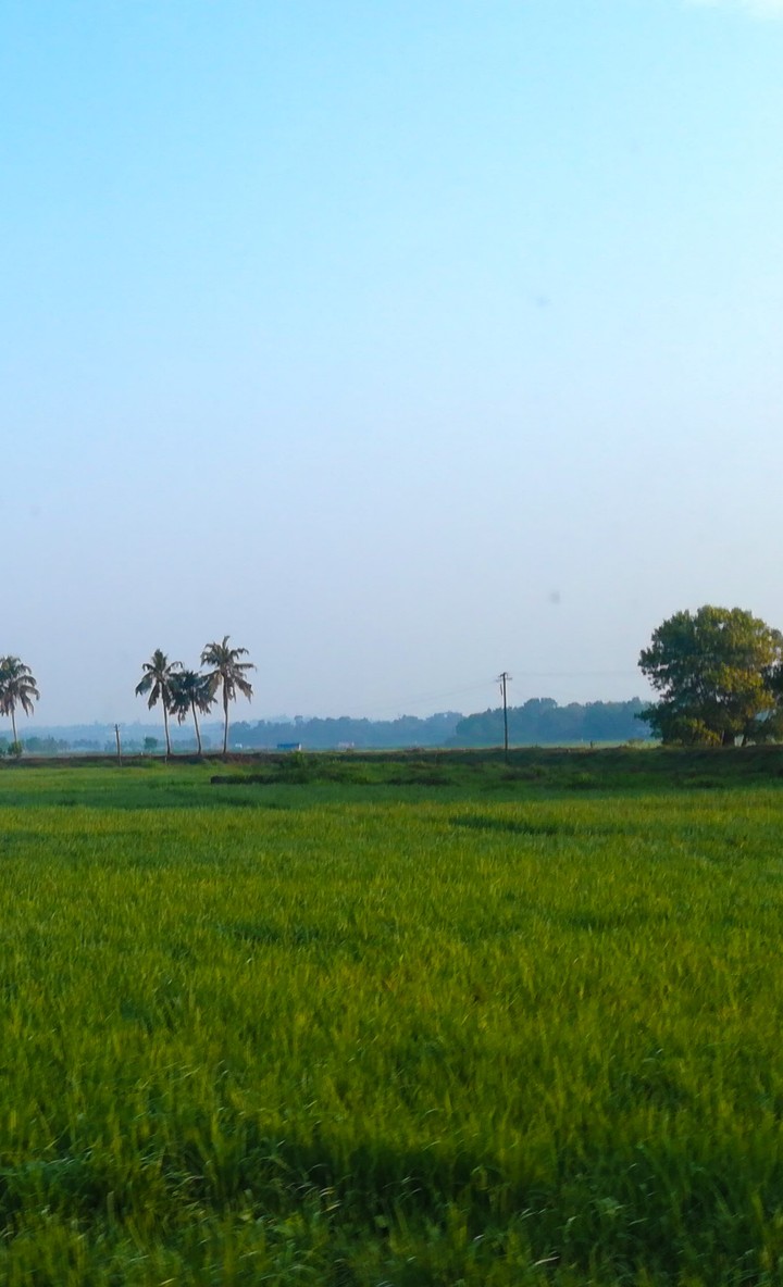 kerala