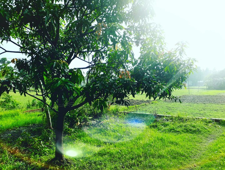 Beauty of nature