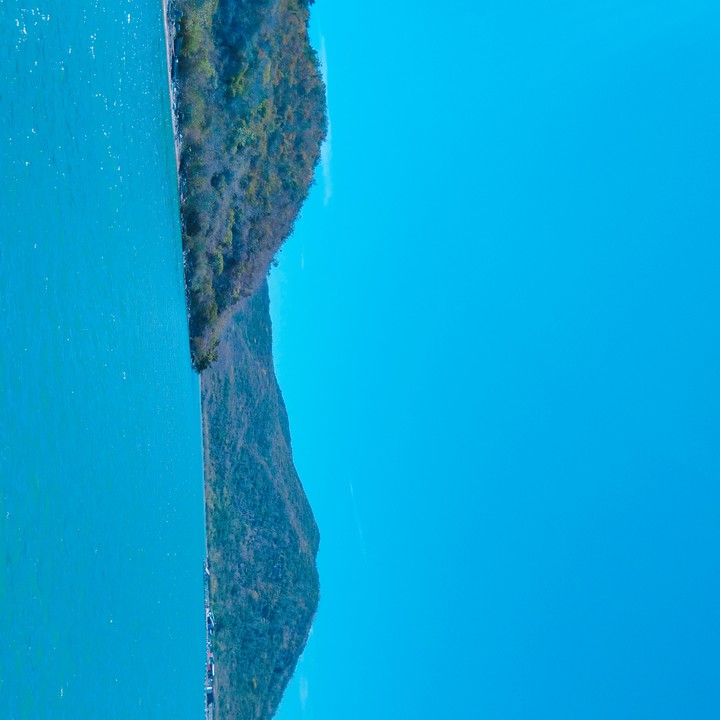 Monkey Island