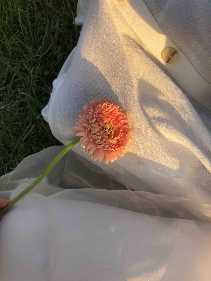 꽃