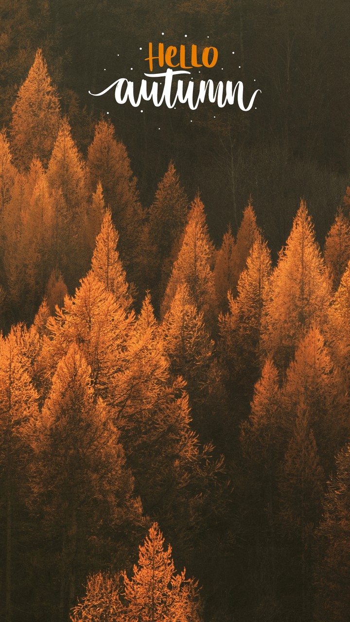 °• HELLO Autumn •°