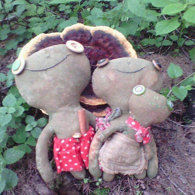 frog family