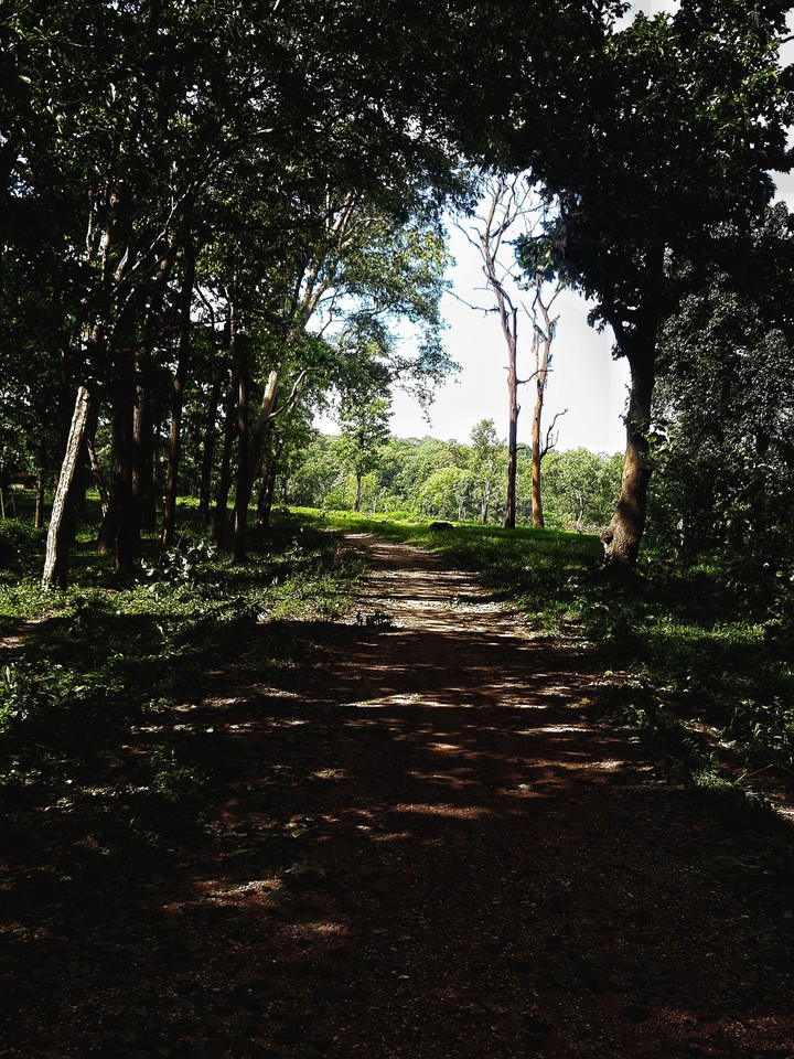 trip_00__graphy/Travel