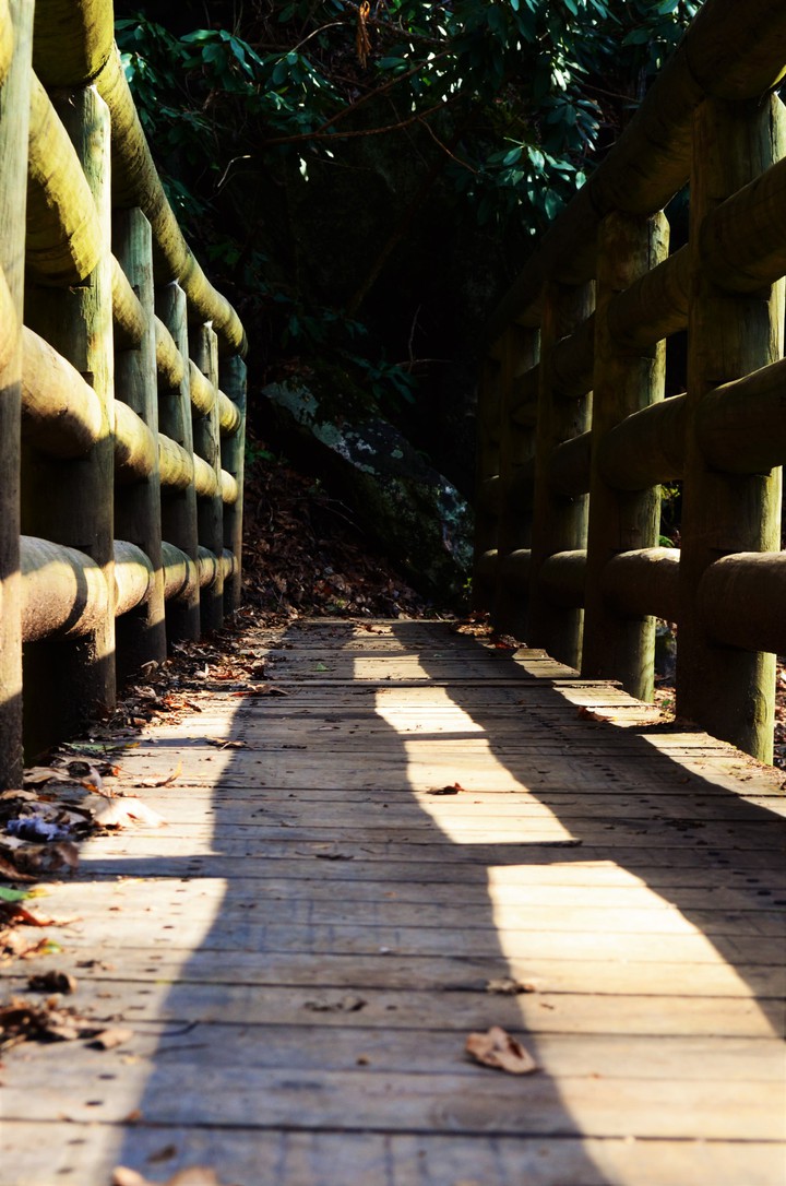 bridge