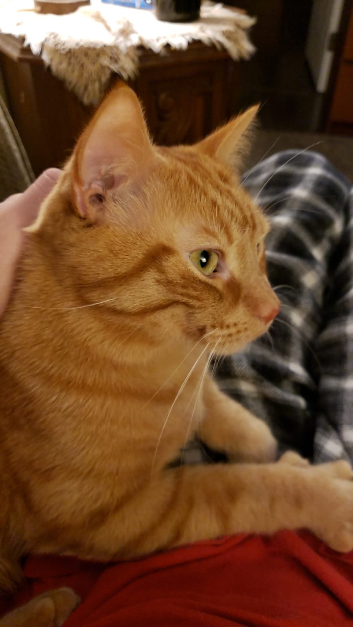 Beautiful Marlowe