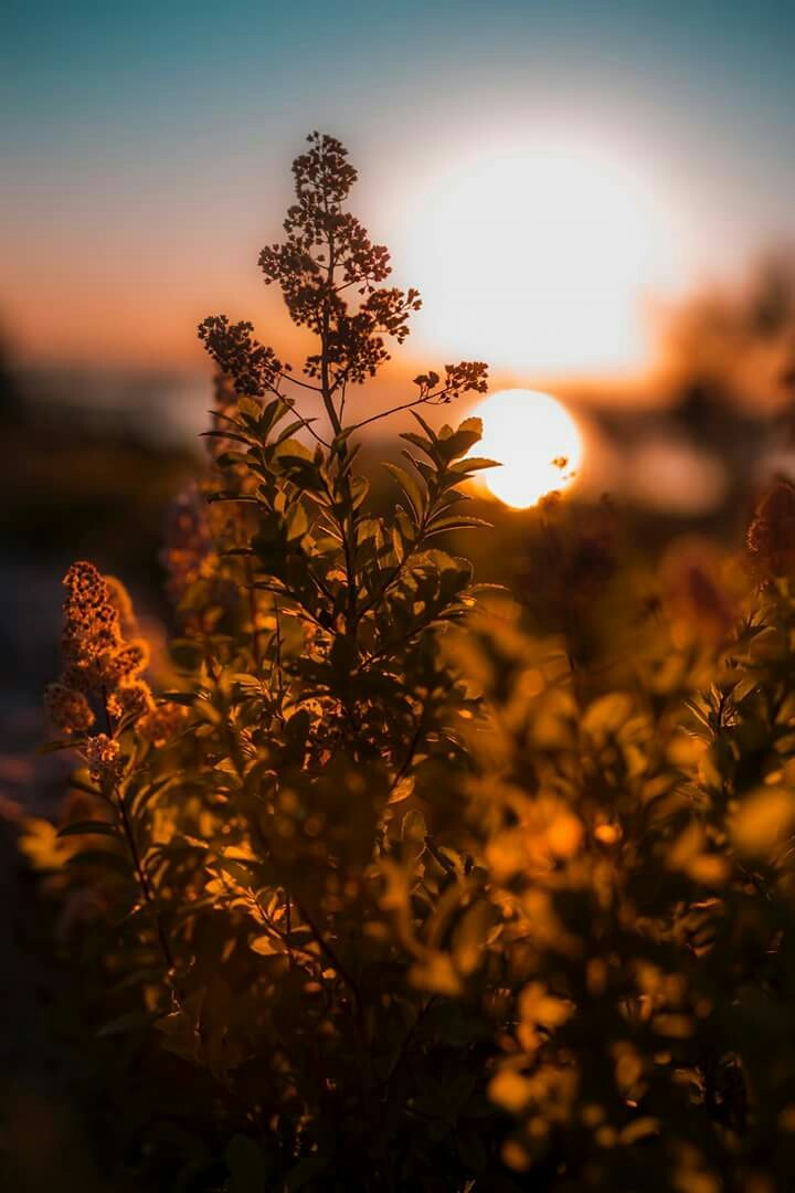 in the end of this Day