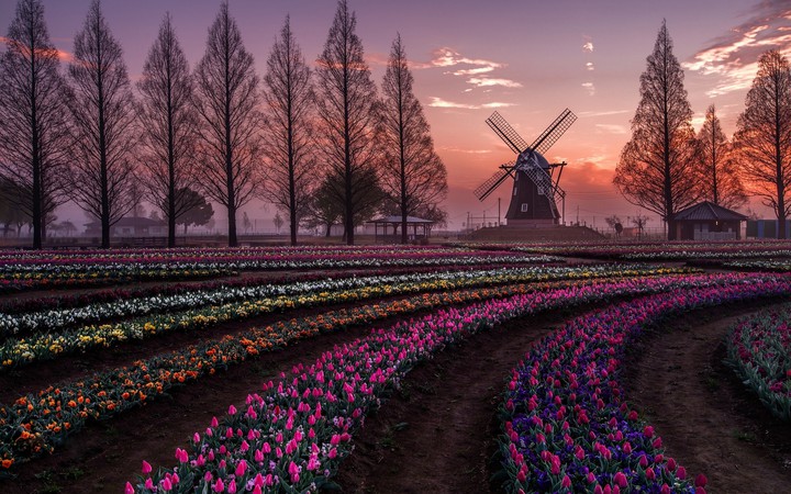 Nature