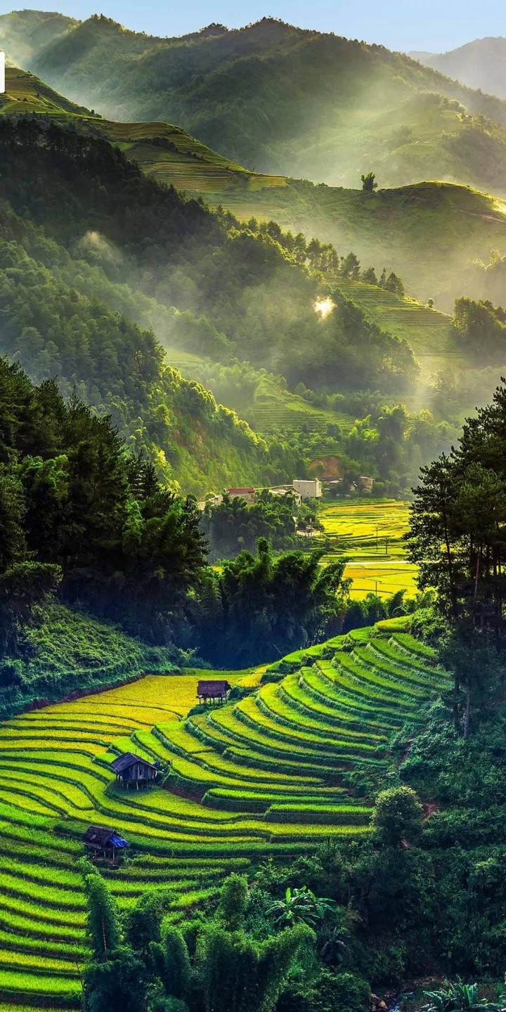 Nature