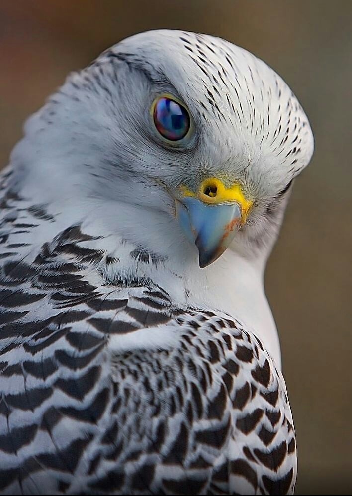 ?