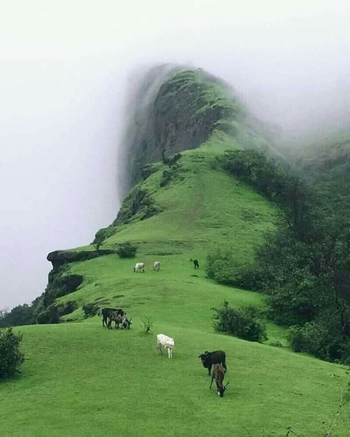 Beautiful •_