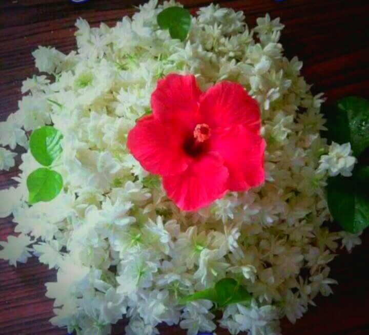 Hibiscus with Jasmine ....