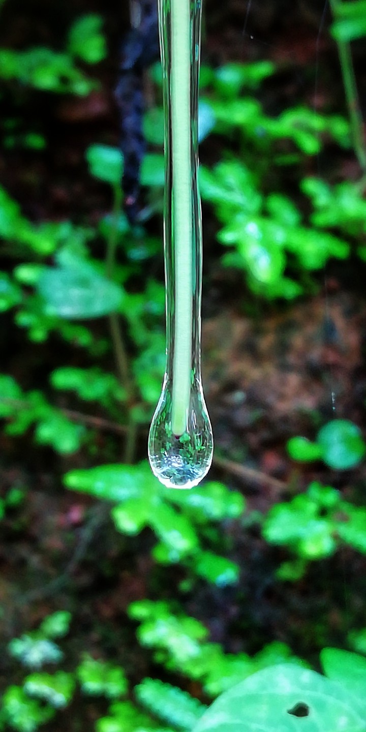 waterdrop