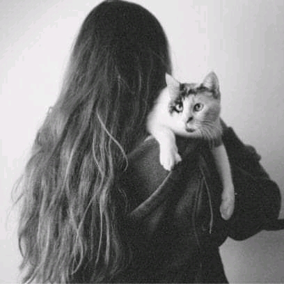 котк