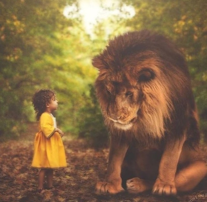 The lion king and a little princess