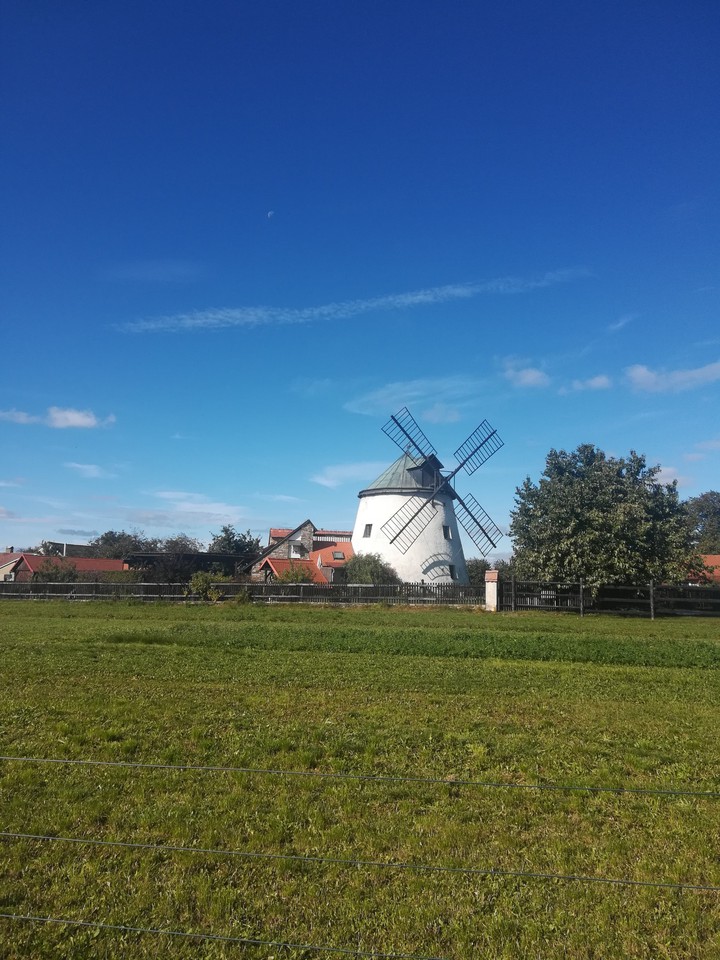 windmill