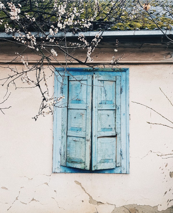 spring