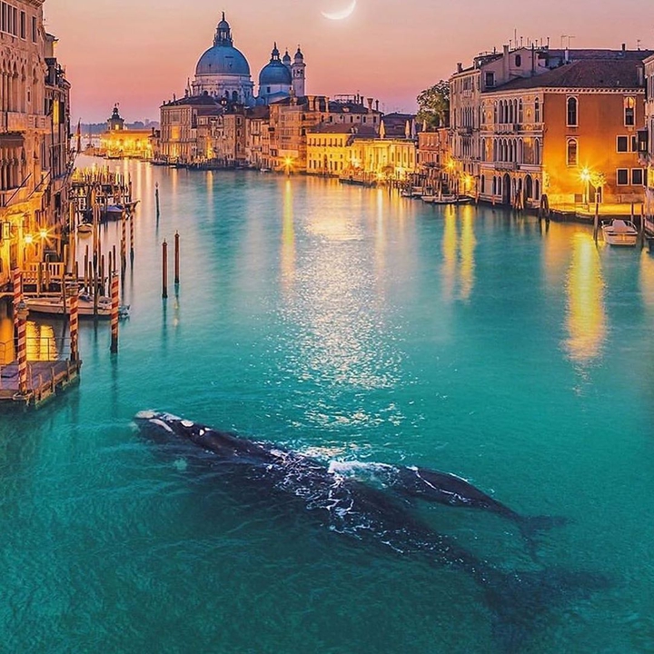 Veneza