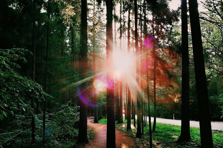 Shine brighter than my soul☆
