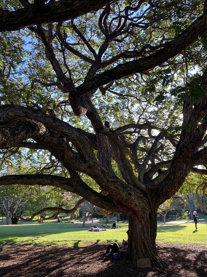 Botanic garden