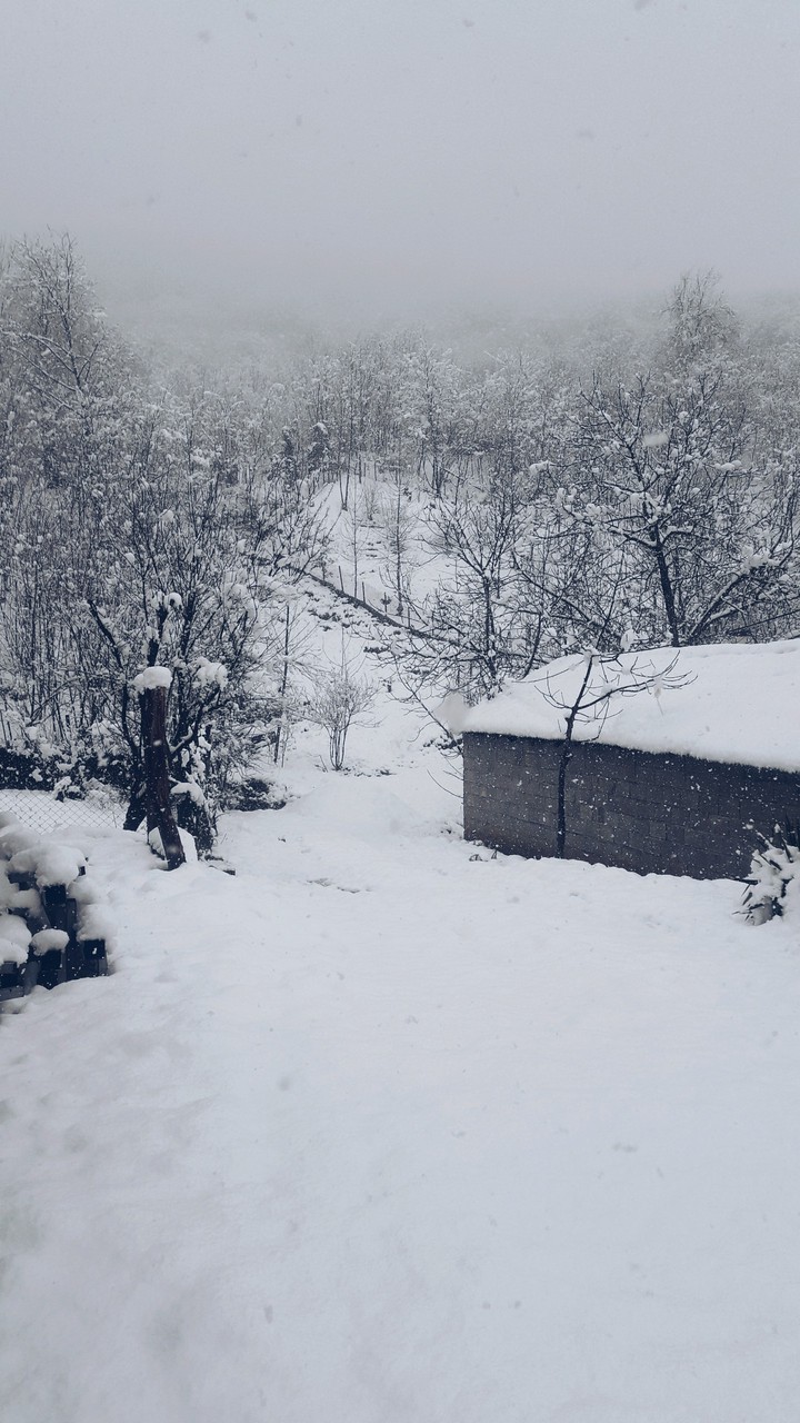 snow in north of iran