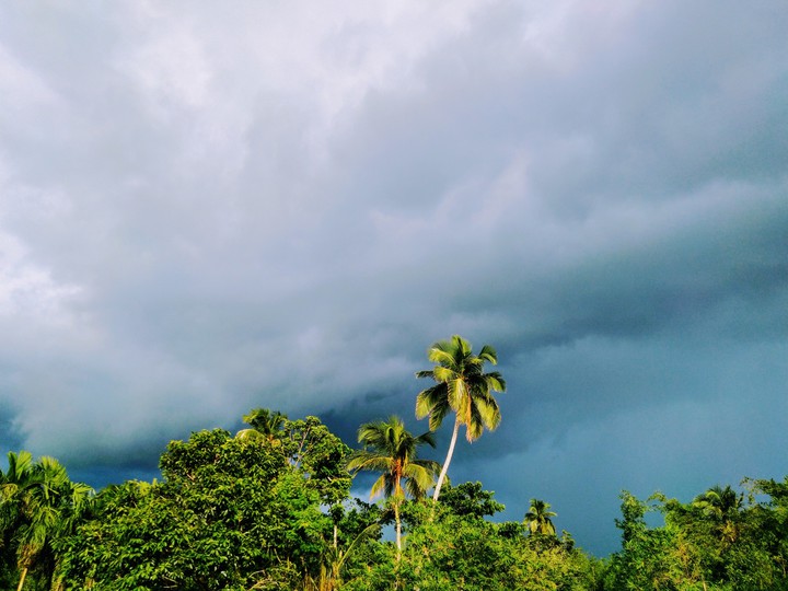 nature