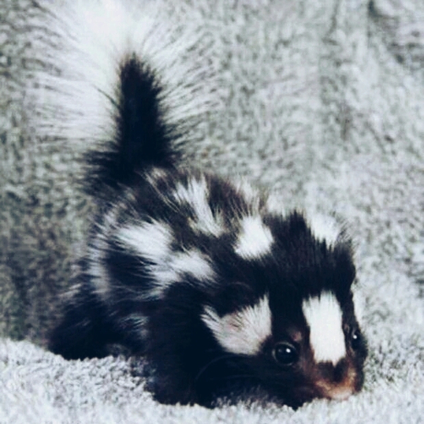 Cute