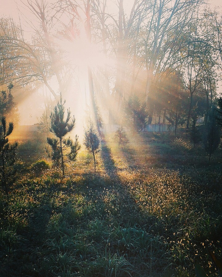 Morning