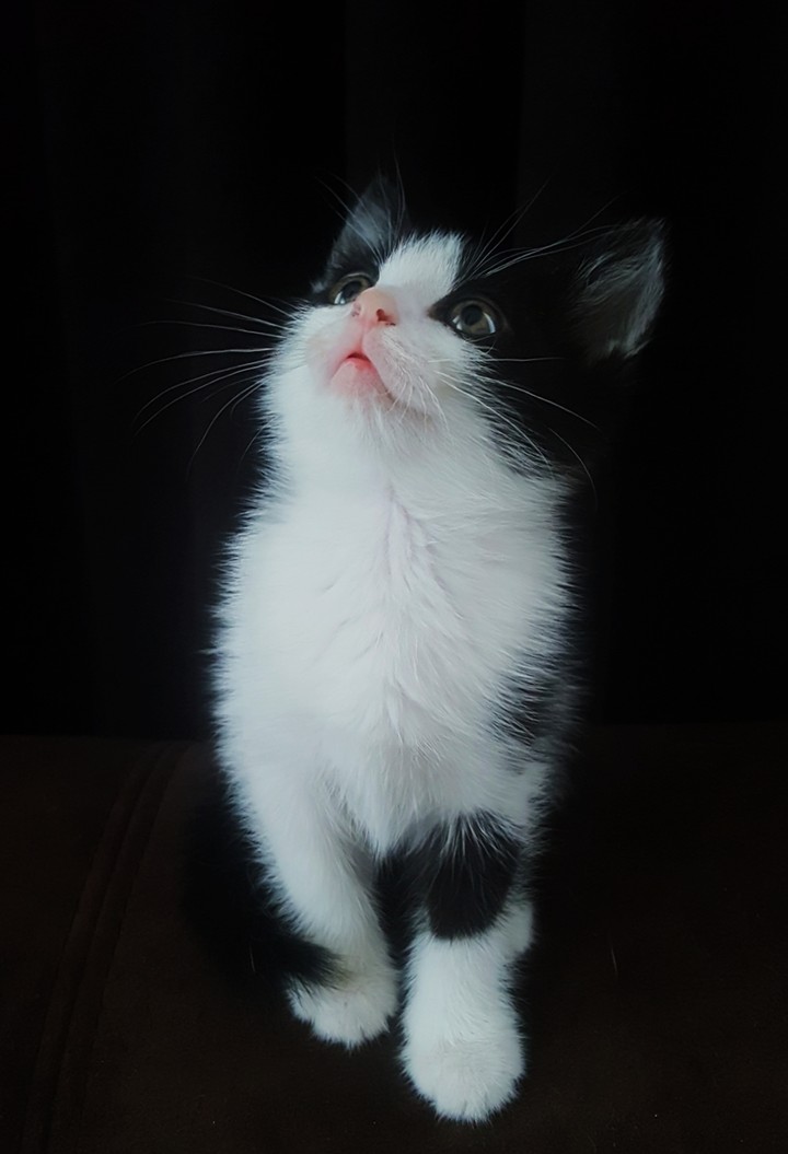 Василий