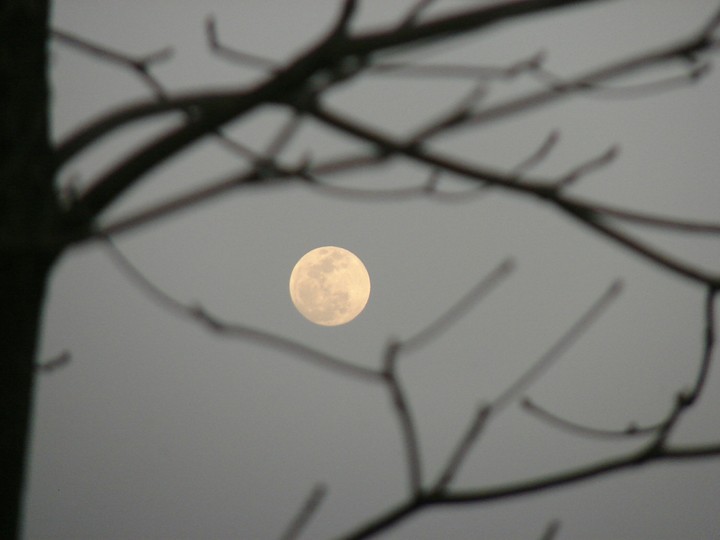Full Moon
