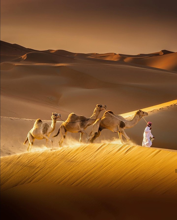 Desert....