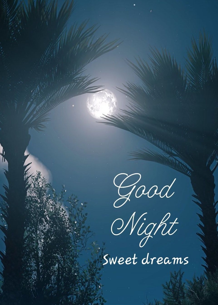 Good night
