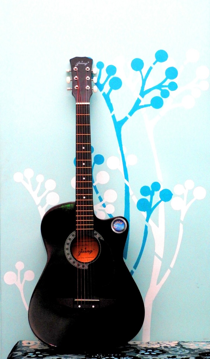 Guitar