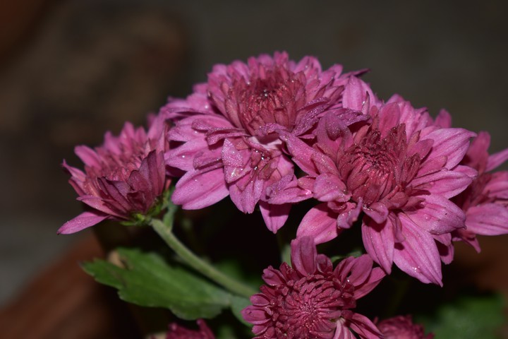 LooKinG Awesome.. Click : BY ME..