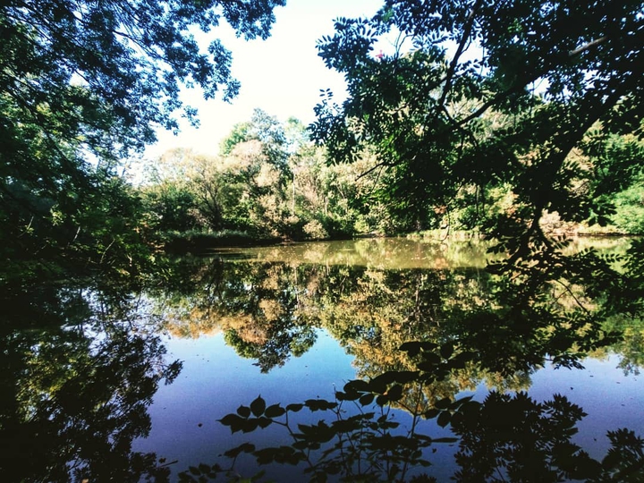 lake